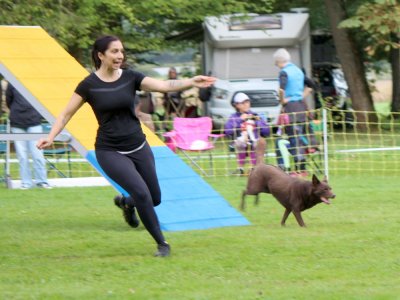Concours d'agility,  les photos du dimanche