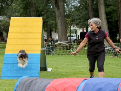Concours d'agility,  les photos du dimanche