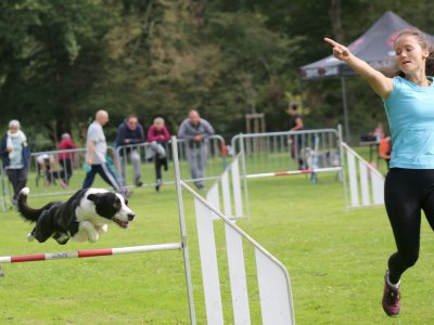 Concours d'agility, les photos du samedi