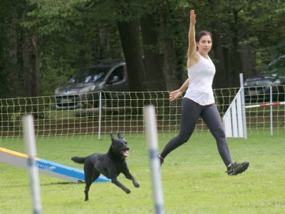 Concours d'agility, les photos du samedi