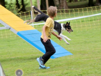 Concours d'agility,  les photos du dimanche