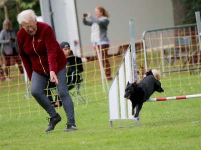 Concours d'agility,  les photos du dimanche