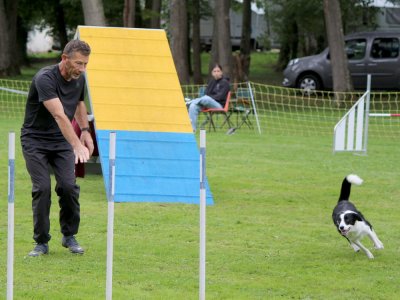 Concours d'agility,  les photos du dimanche