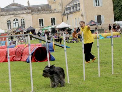Concours d'agility,  les photos du dimanche