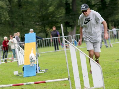 Concours d'agility, les photos du samedi