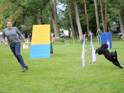 Concours d'agility,  les photos du dimanche