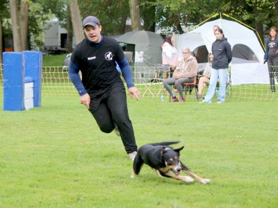Concours d'agility,  les photos du dimanche