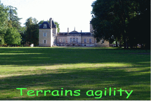 Concours d'agility, 13 et 14 septembre 2025