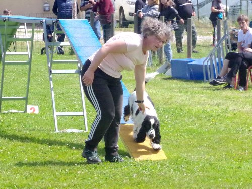 Concours d'agility, Montret, 23 juin 2024