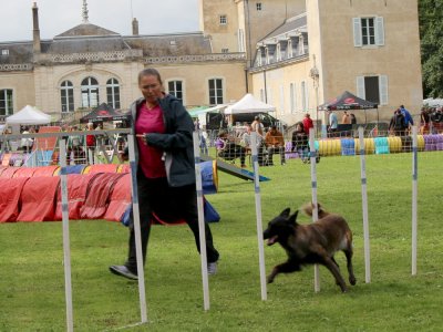 Concours d'agility,  les photos du dimanche