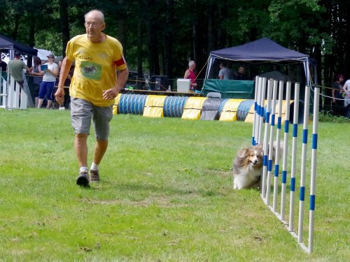 Concours d'agility, Sanvignes, 27 juillet 2024