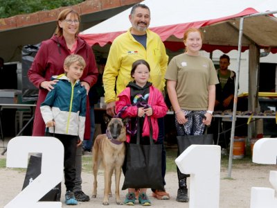 Concours d'agility,  les photos du dimanche