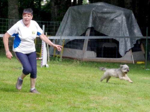 Concours d'agility, Sanvignes, 27 juillet 2024