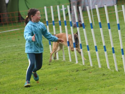 Concours d'agility, les photos du samedi