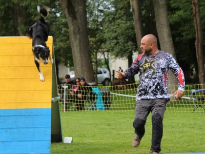 Concours d'agility,  les photos du dimanche