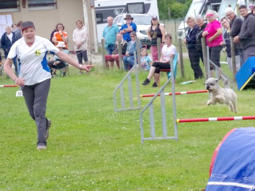 Concours d'agility, Montret, 23 juin 2024