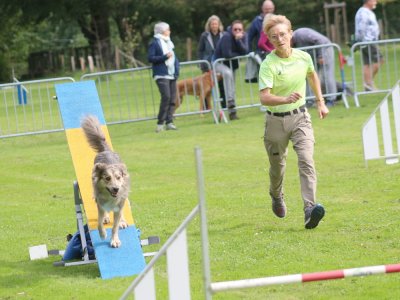 Concours d'agility, les photos du samedi