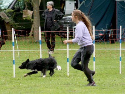 Concours d'agility, les photos du samedi