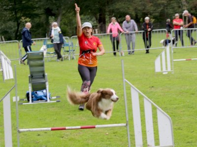 Concours d'agility, les photos du samedi