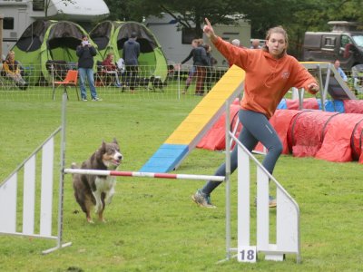 Concours d'agility, les photos du samedi