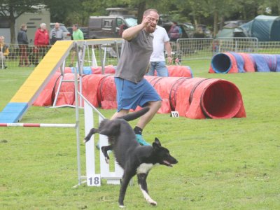 Concours d'agility, les photos du samedi