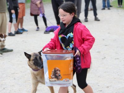 Concours d'agility,  les photos du dimanche