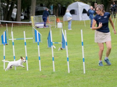Concours d'agility, les photos du samedi