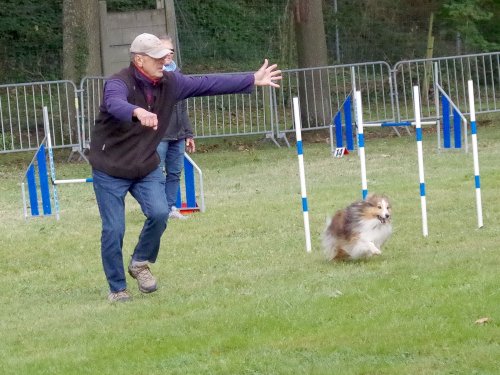 Concours d'agility, Châtenoy le royal 29 septembre 2024