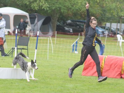 Concours d'agility, les photos du samedi