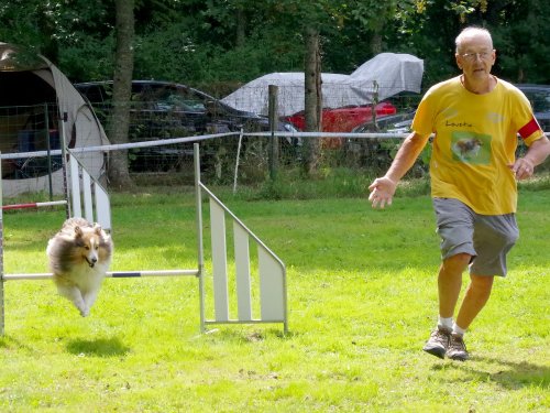 Concours d'agility, Sanvignes, 27 juillet 2024