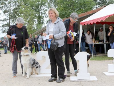 Concours d'agility,  les photos du dimanche