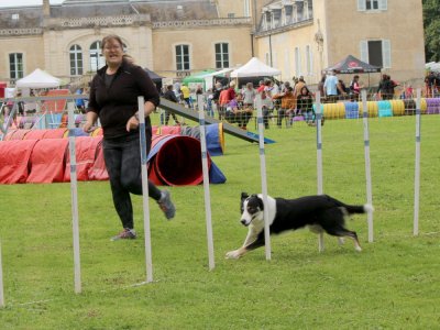 Concours d'agility,  les photos du dimanche