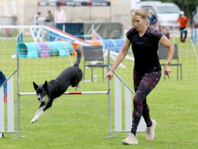 Concours d'agility, les photos du samedi