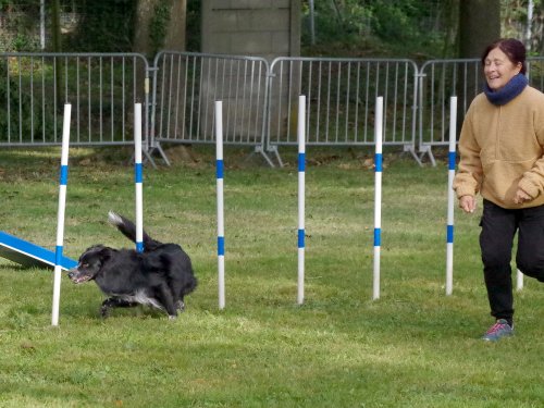 Concours d'agility, Châtenoy le royal 29 septembre 2024