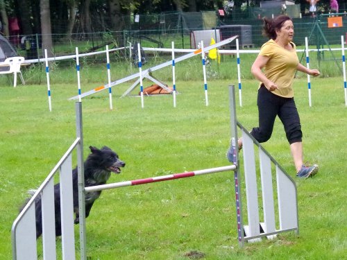 Concours d'agility, Sanvignes, 27 juillet 2024