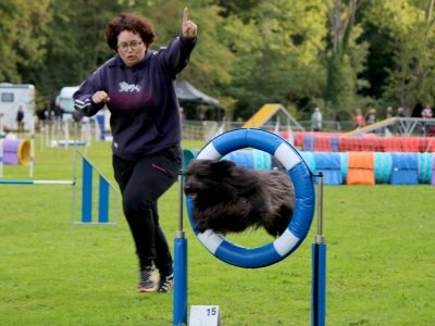 Concours d'agility,  les photos du dimanche