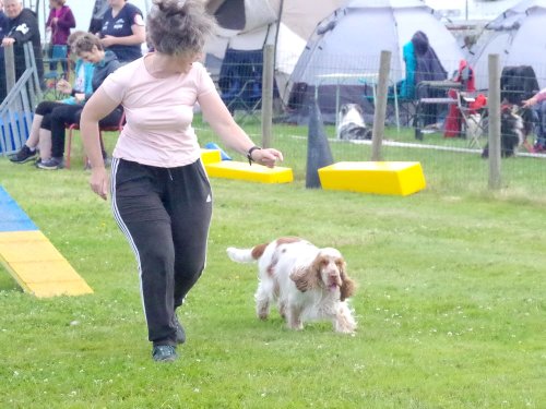 Concours d'agility, Montret, 23 juin 2024