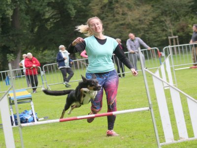 Concours d'agility, les photos du samedi