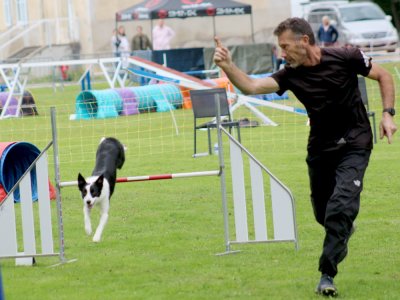 Concours d'agility, les photos du samedi