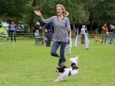 Concours d'agility,  les photos du dimanche