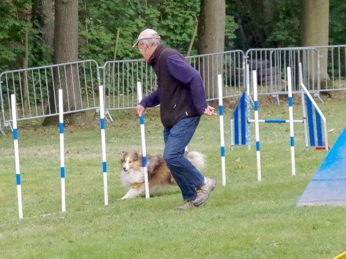 Concours d'agility, Châtenoy le royal 29 septembre 2024