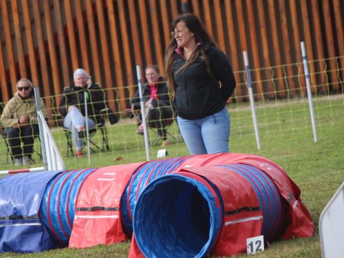 Concours d'agility, Fontaines 14 et 15 septembre 2024