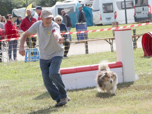 Concours d'agility, Fontaines 14 et 15 septembre 2024