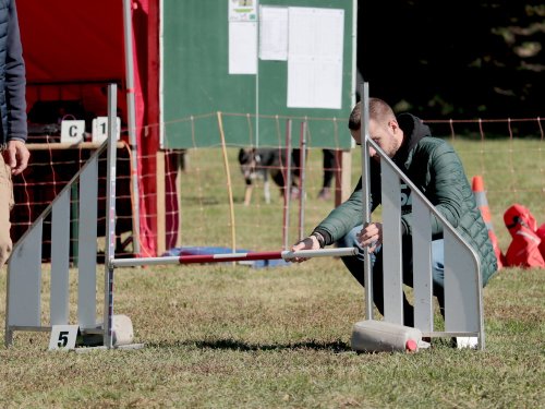 Concours d'agility, Fontaines 14 et 15 septembre 2024