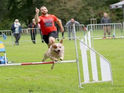 Concours d'agility, les photos du samedi