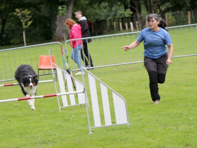 Concours d'agility,  les photos du dimanche