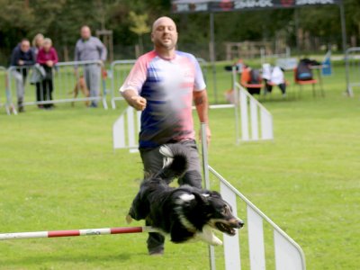 Concours d'agility, les photos du samedi