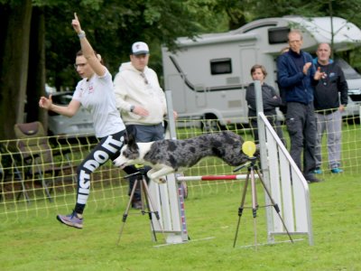 Concours d'agility,  les photos du dimanche