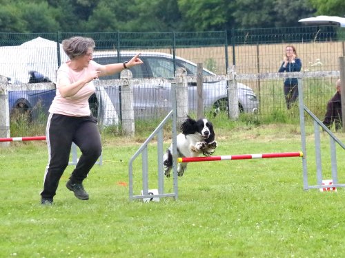 Concours d'agility, Montret, 23 juin 2024