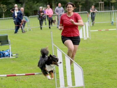 Concours d'agility, les photos du samedi